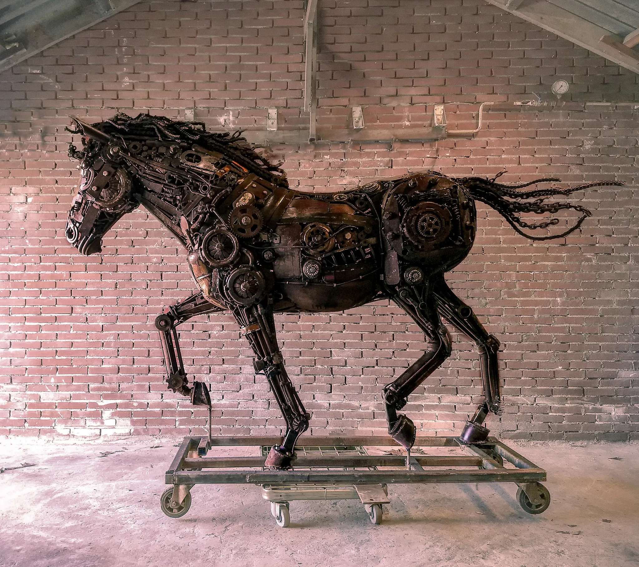 foto beeld jeroen jacobs