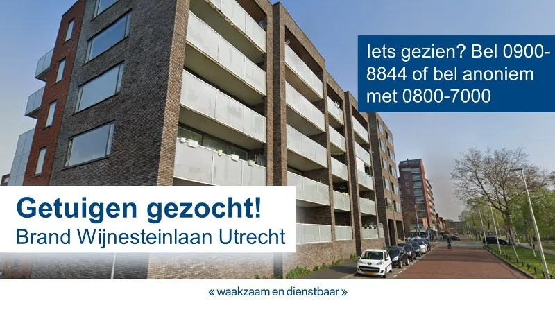 getuigen wijnesteinlaan