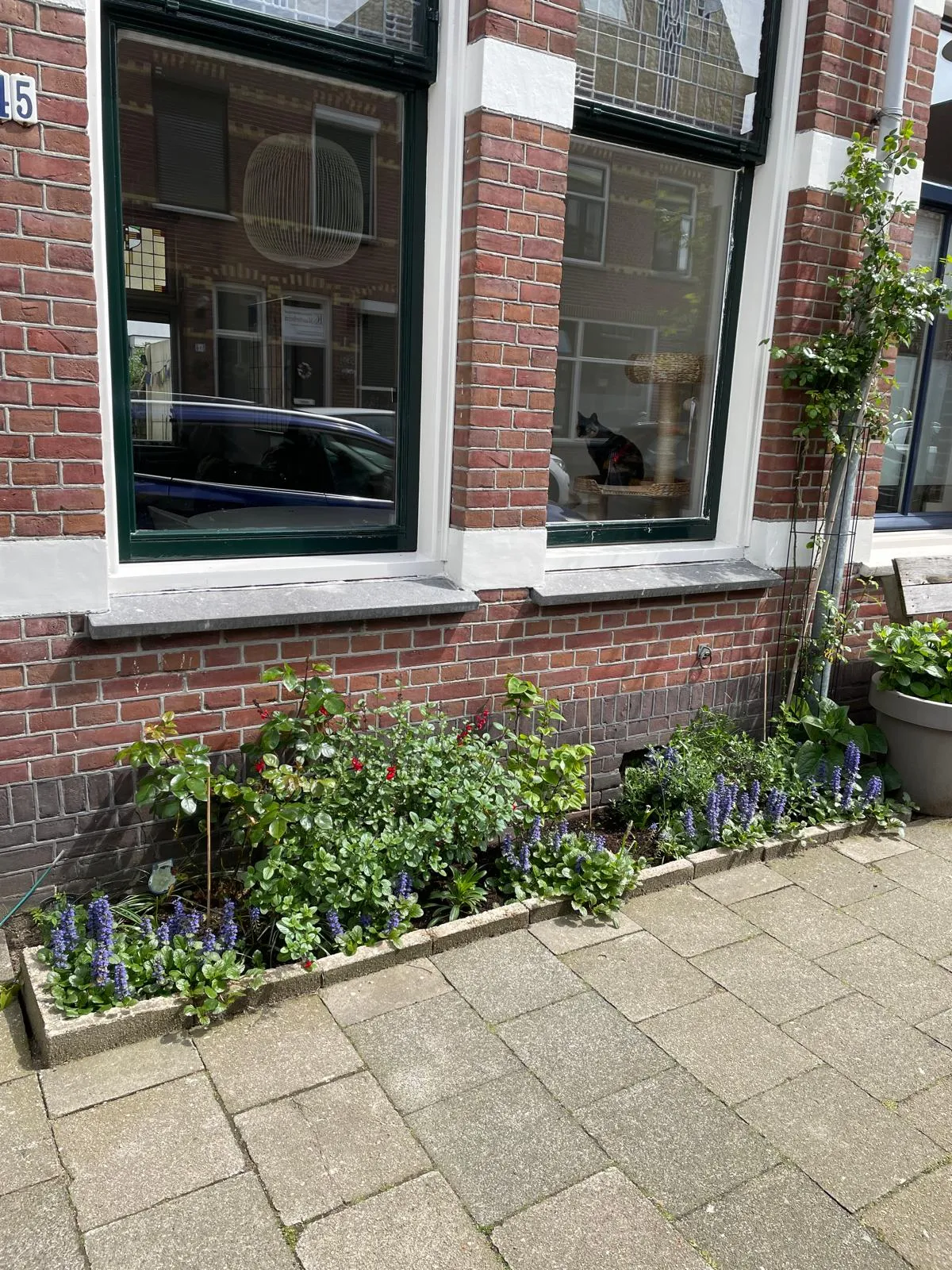 geveltuin martha