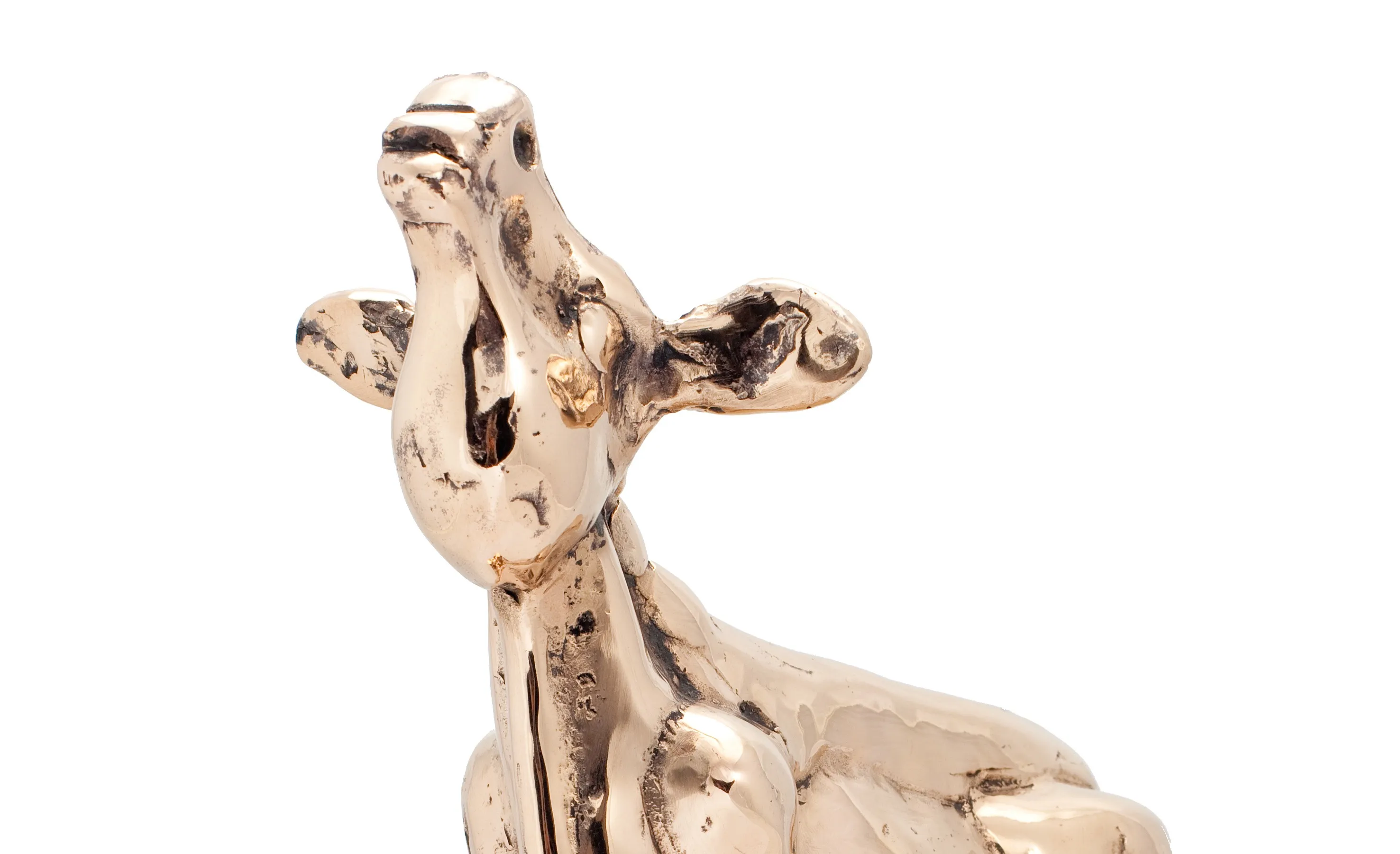 gouden kalf persmateriaal 2