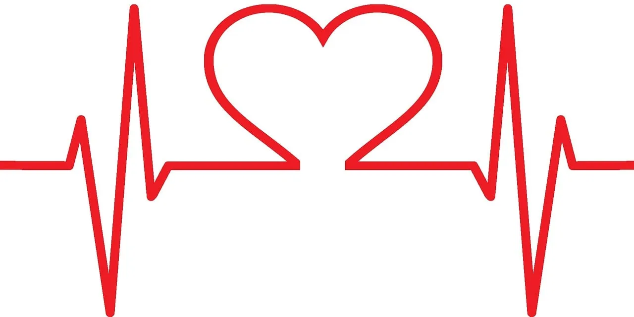 heart care 1040250 1280