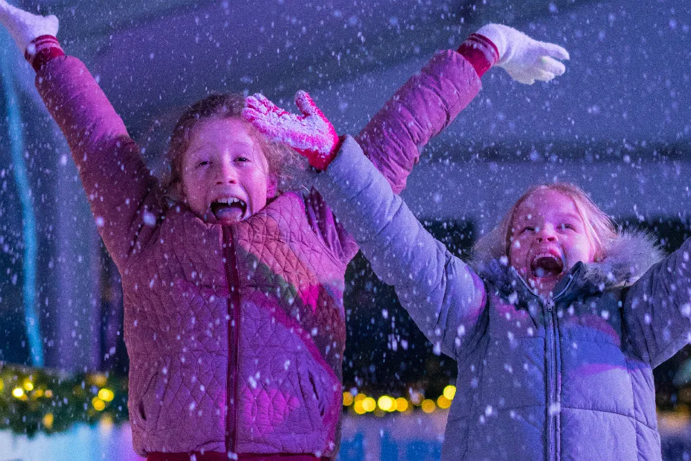 ijsbaan vleuterweide