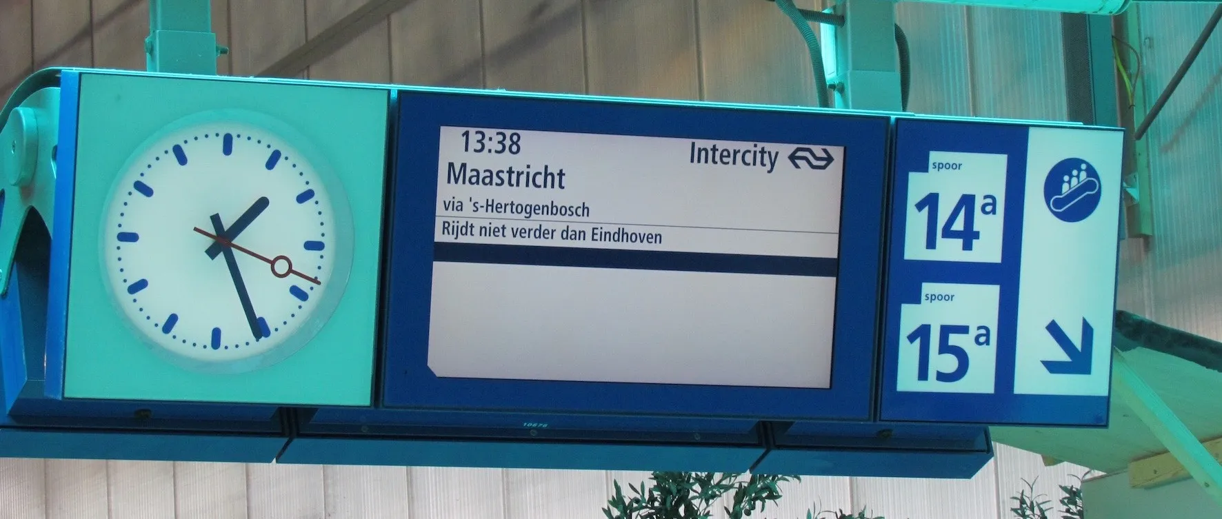 img 1458 1