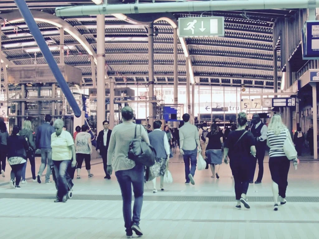 img 1469 1 1024x768 1