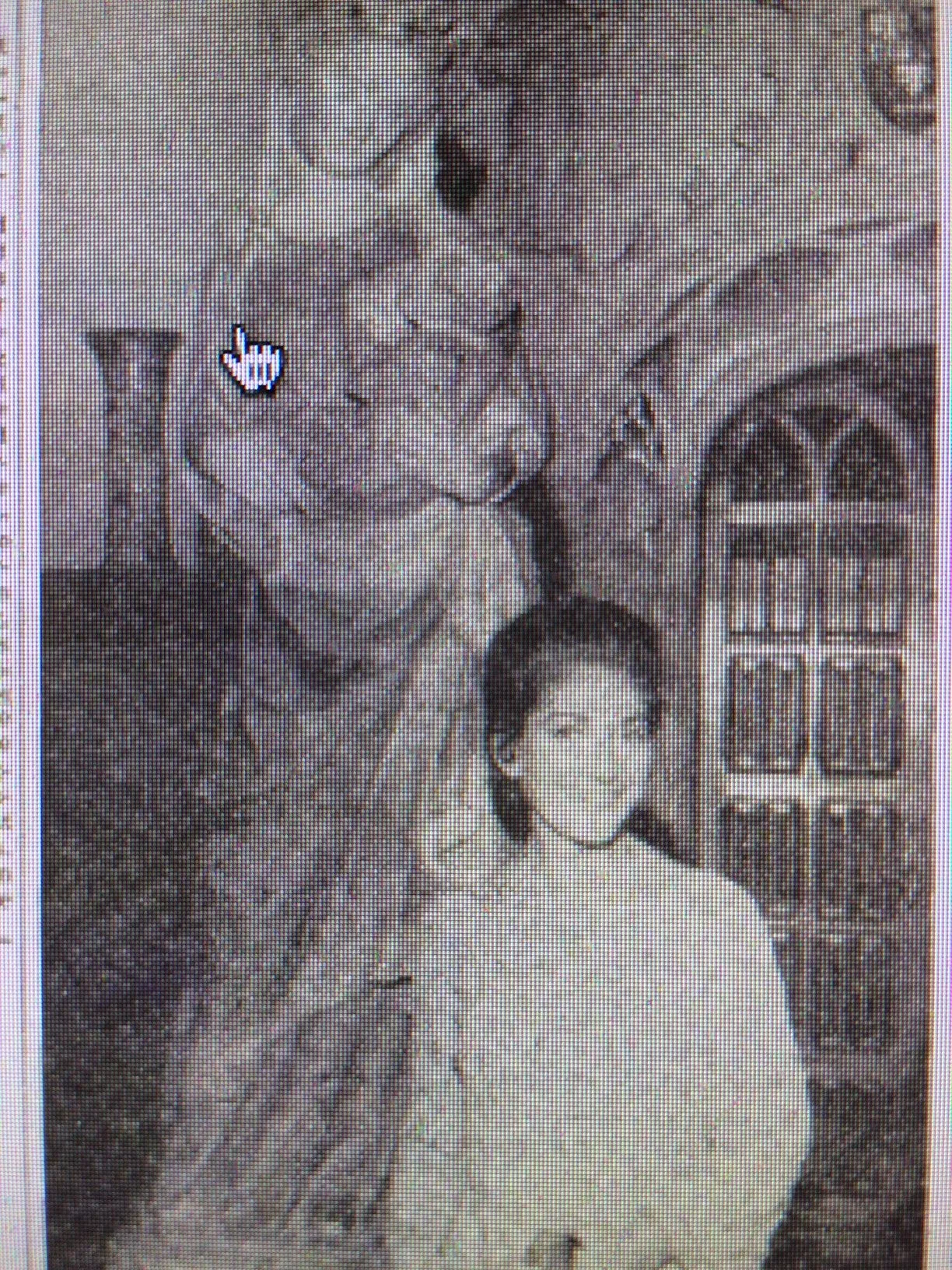 img 4014 e1512225964969