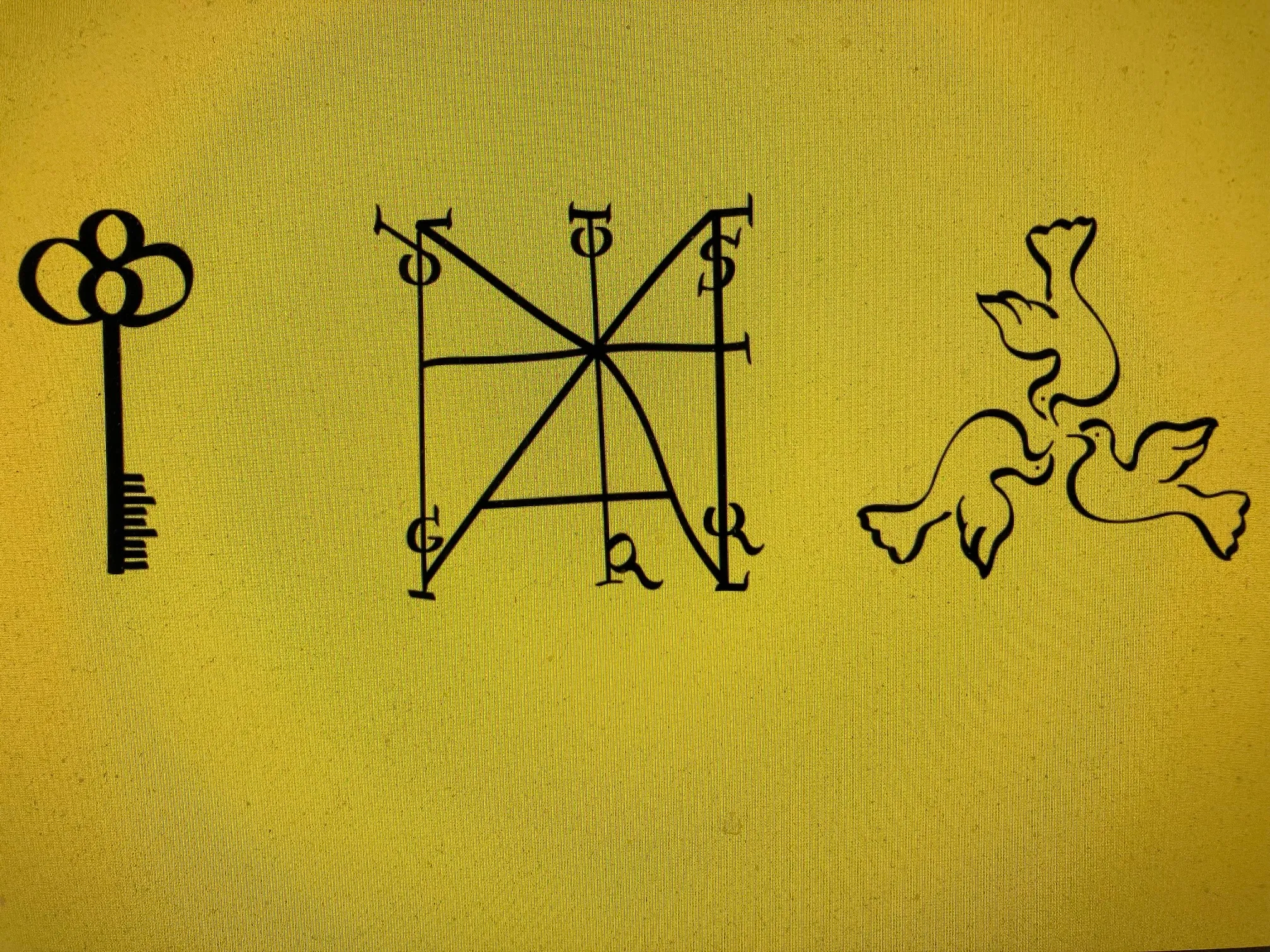 img 7569