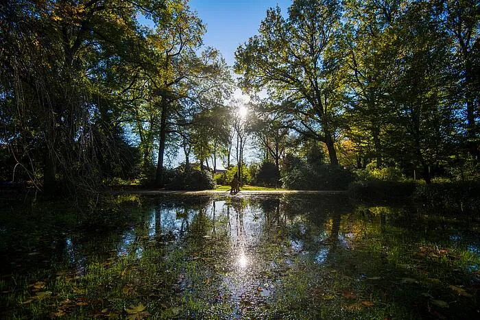 julianapark