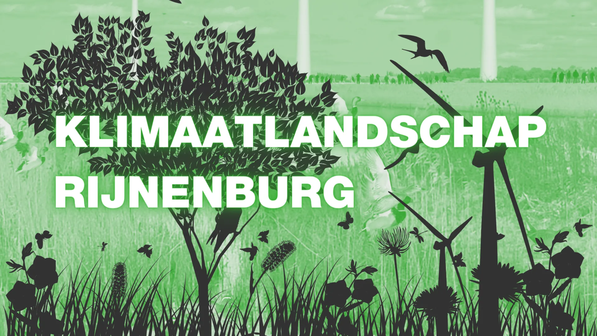 klimaatlandschap rijnenburg