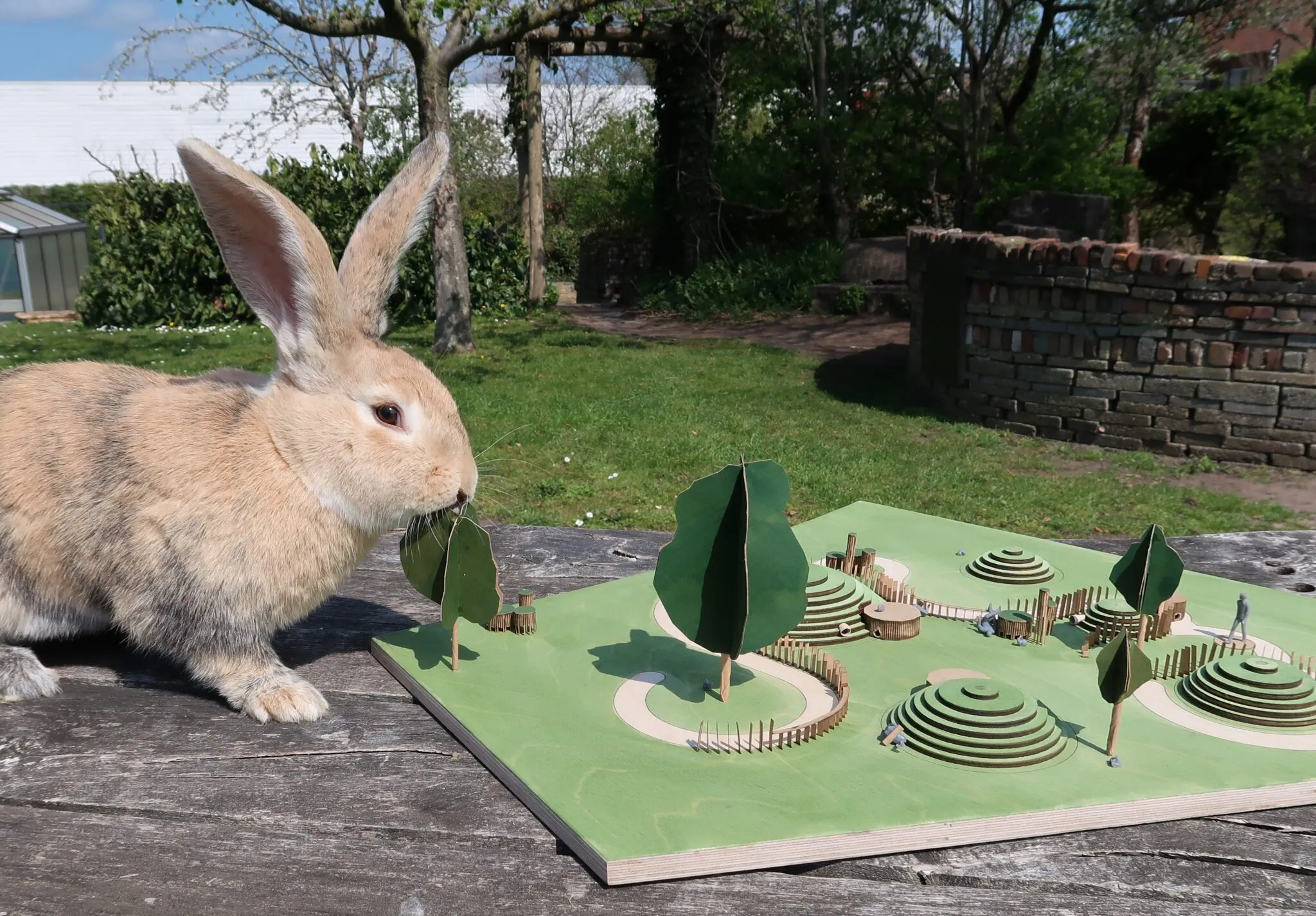 konijn bij nieuwe konijnenheuvel van griftsteede
