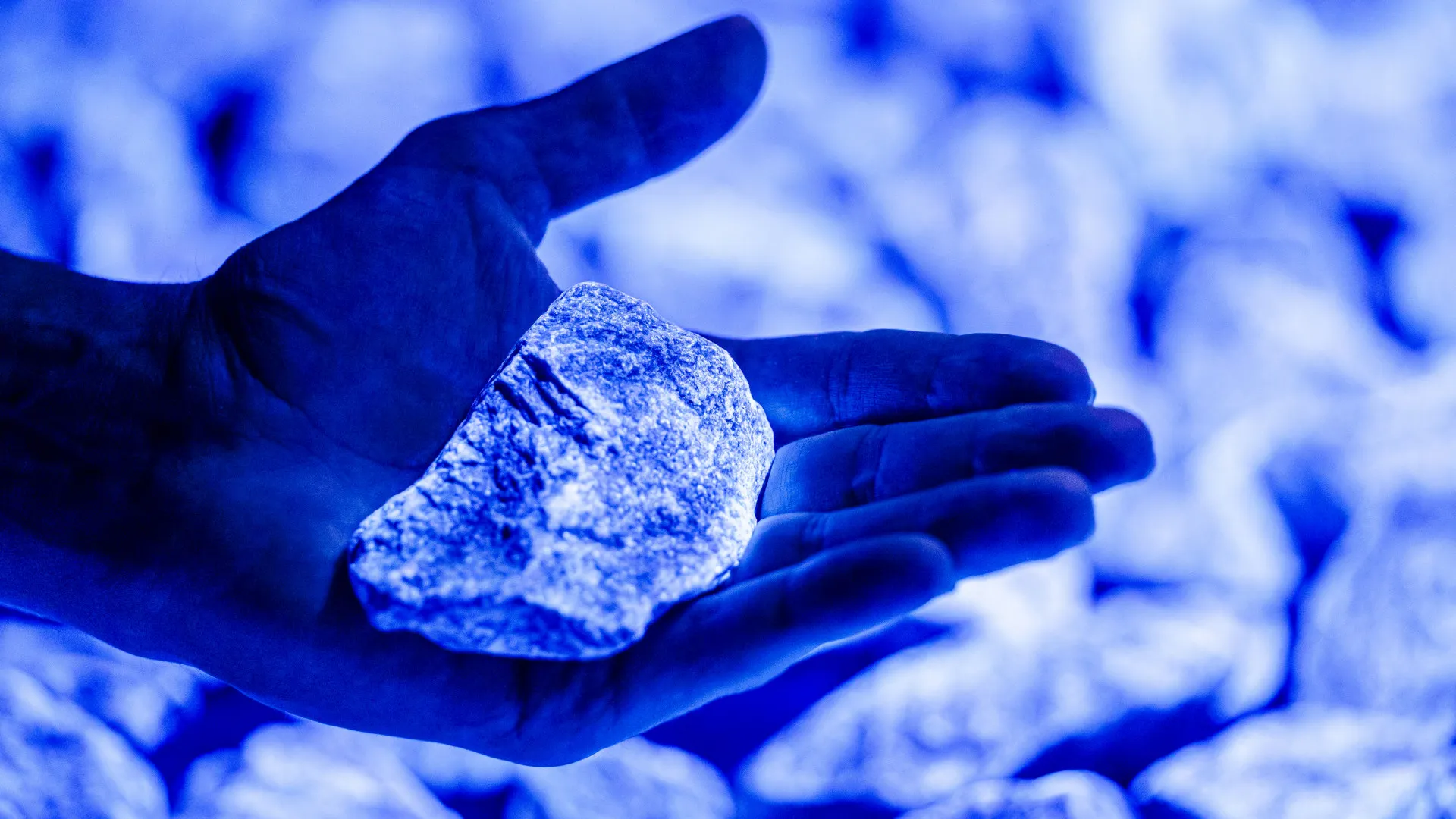 levenslicht roosegaarde