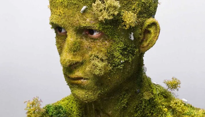 levi van veluw landscape ia 715x408