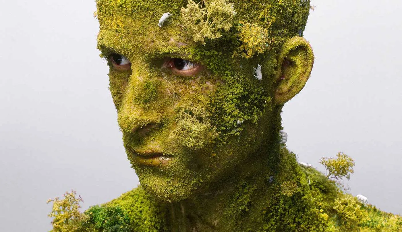 levi van veluw landscape ia