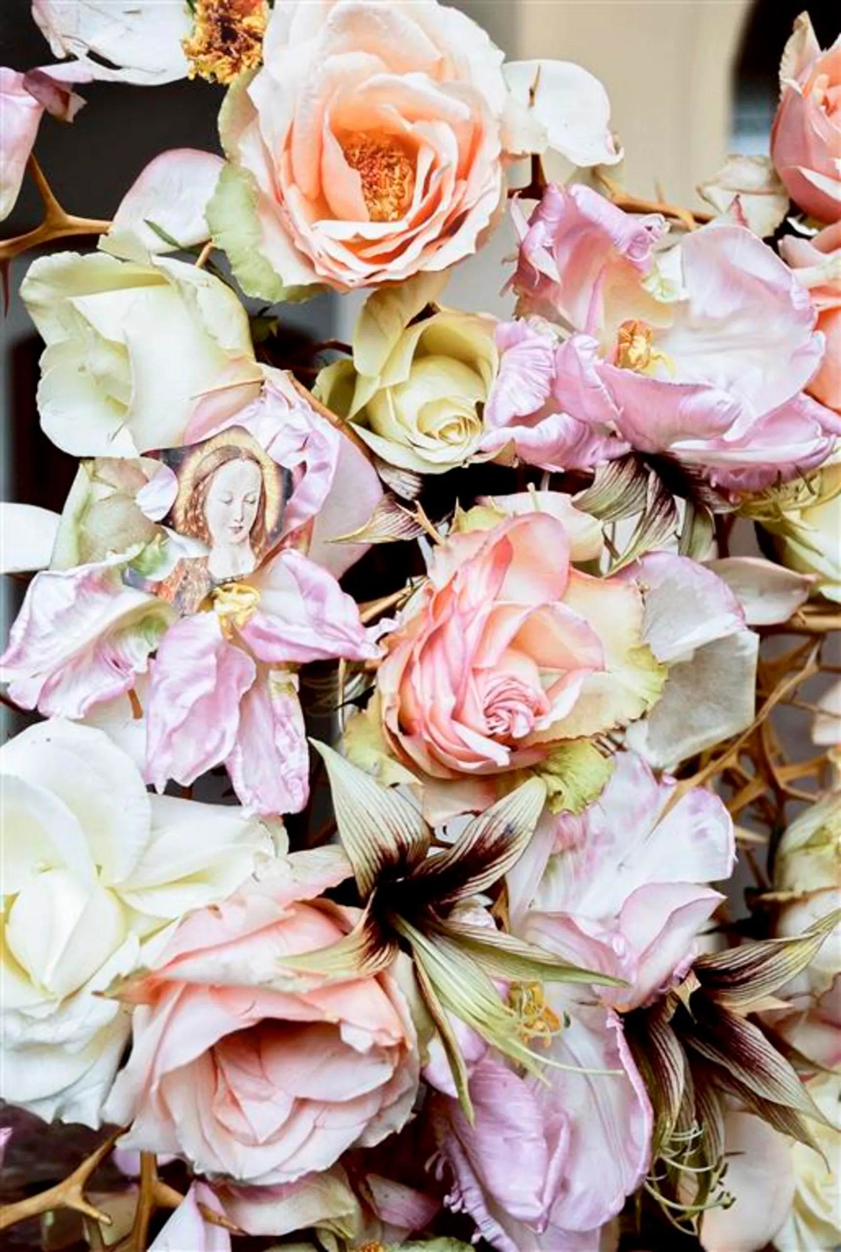 marc mulders maria i