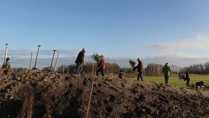 mensen planten bomen
