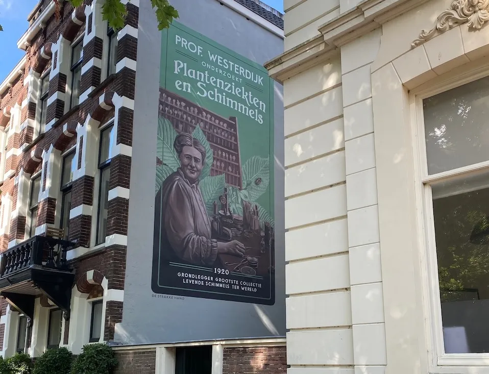 muurschildering johanna westerdijk brede foto