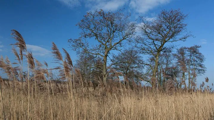 natuurgebied