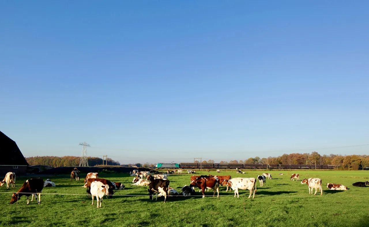 phs en goederentrein 96dpi 1280x840px e nr 165 1