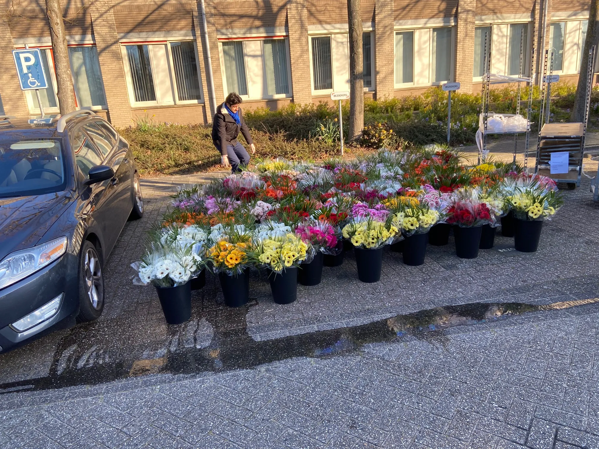 portaal bloemenactie utrecht 2
