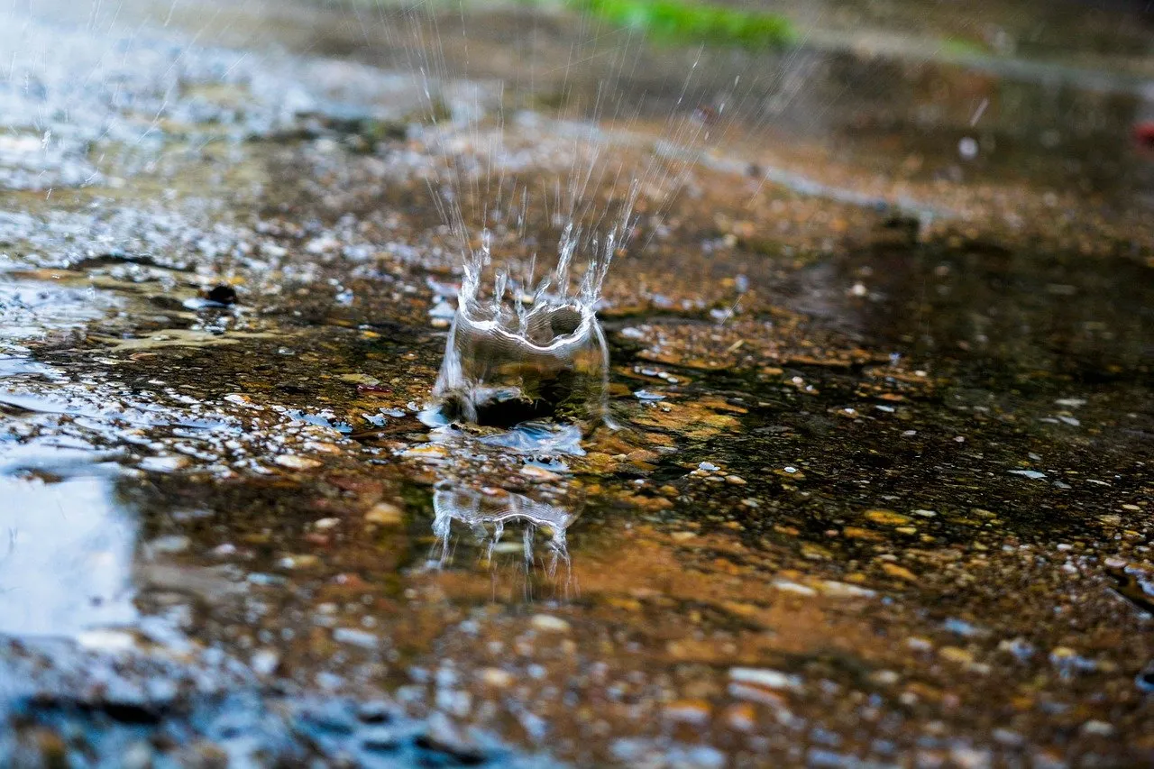 rain 2090145 1280