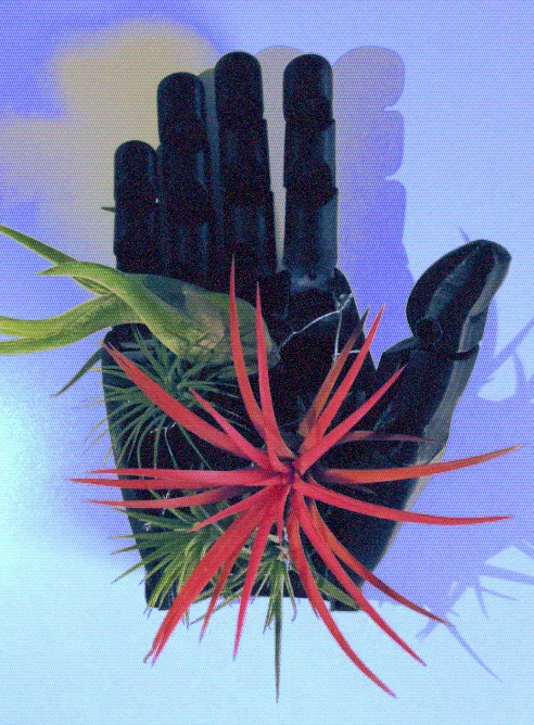 robert krijgsman ontmoeting