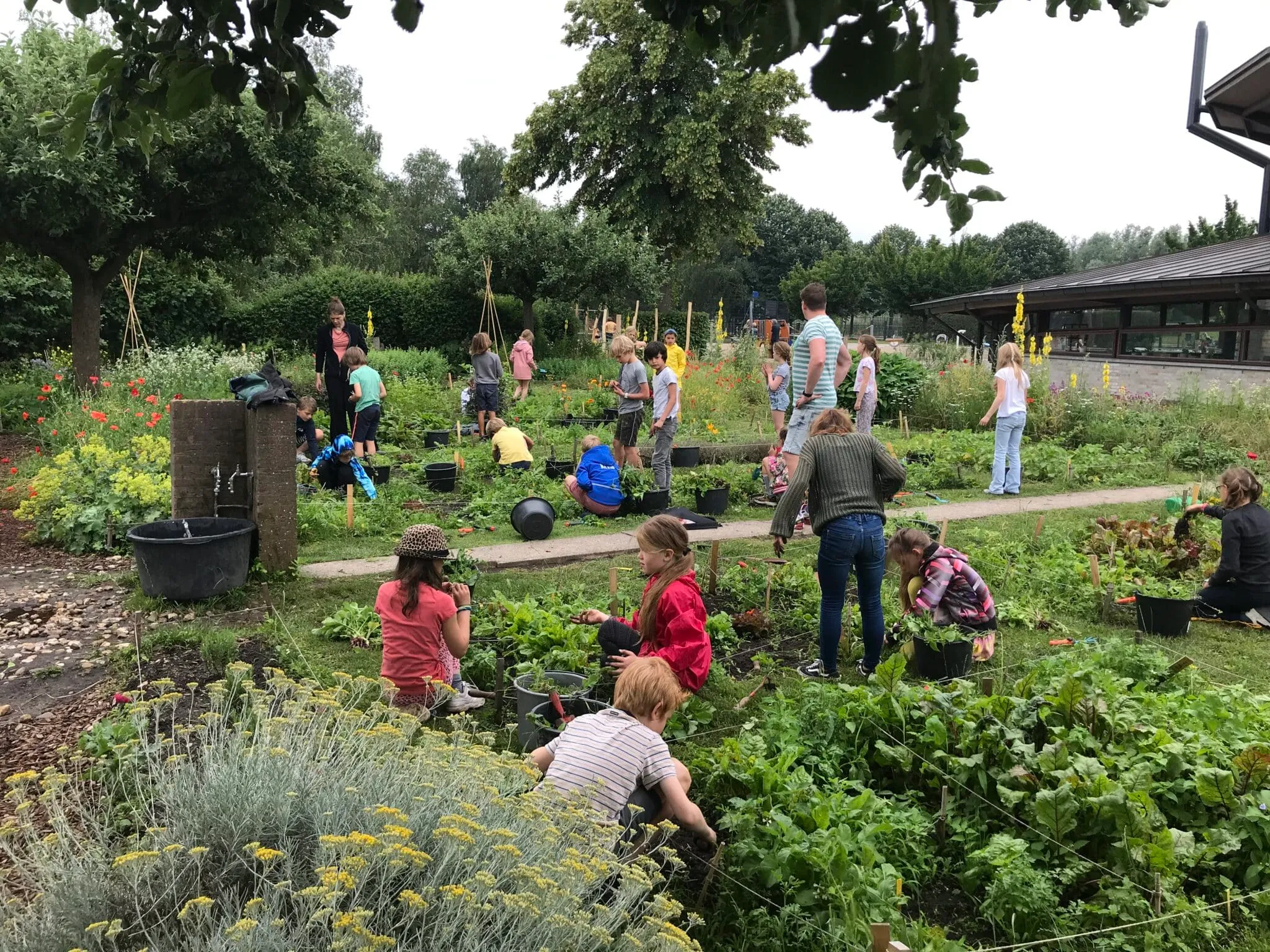 schooltuinieren bij utrecht natuurlijk