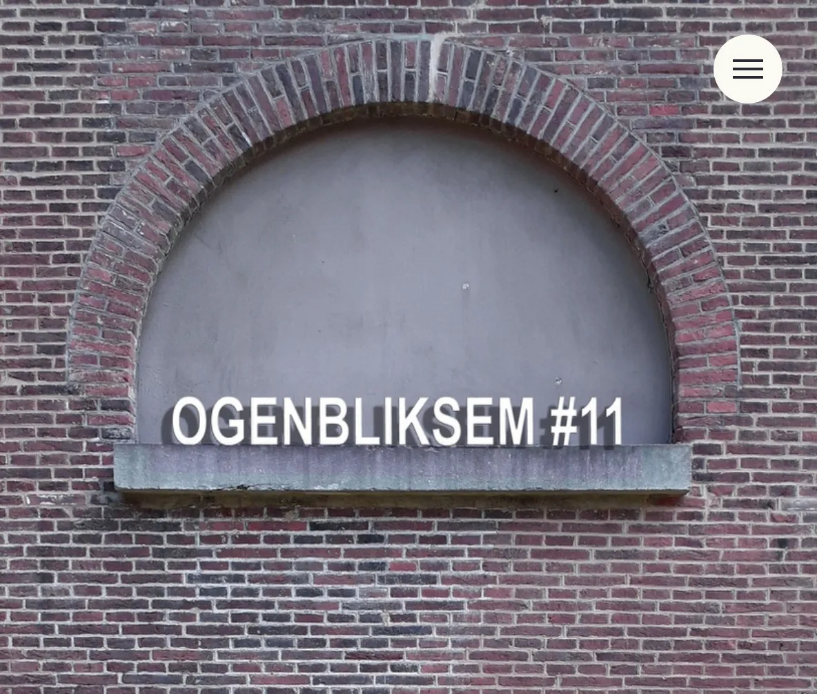 screenshot 2022 10 27 at 11 47 13 ogenbliksem