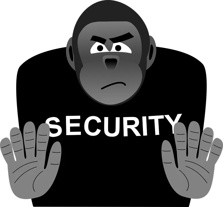 security 1365599 960 720