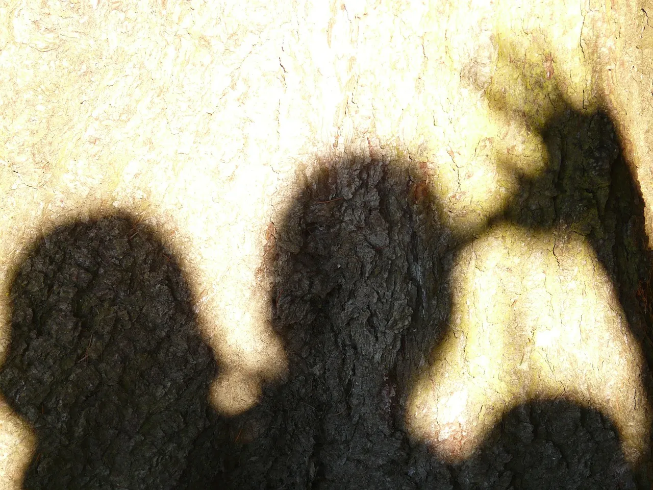 shadow 5552 1280 2