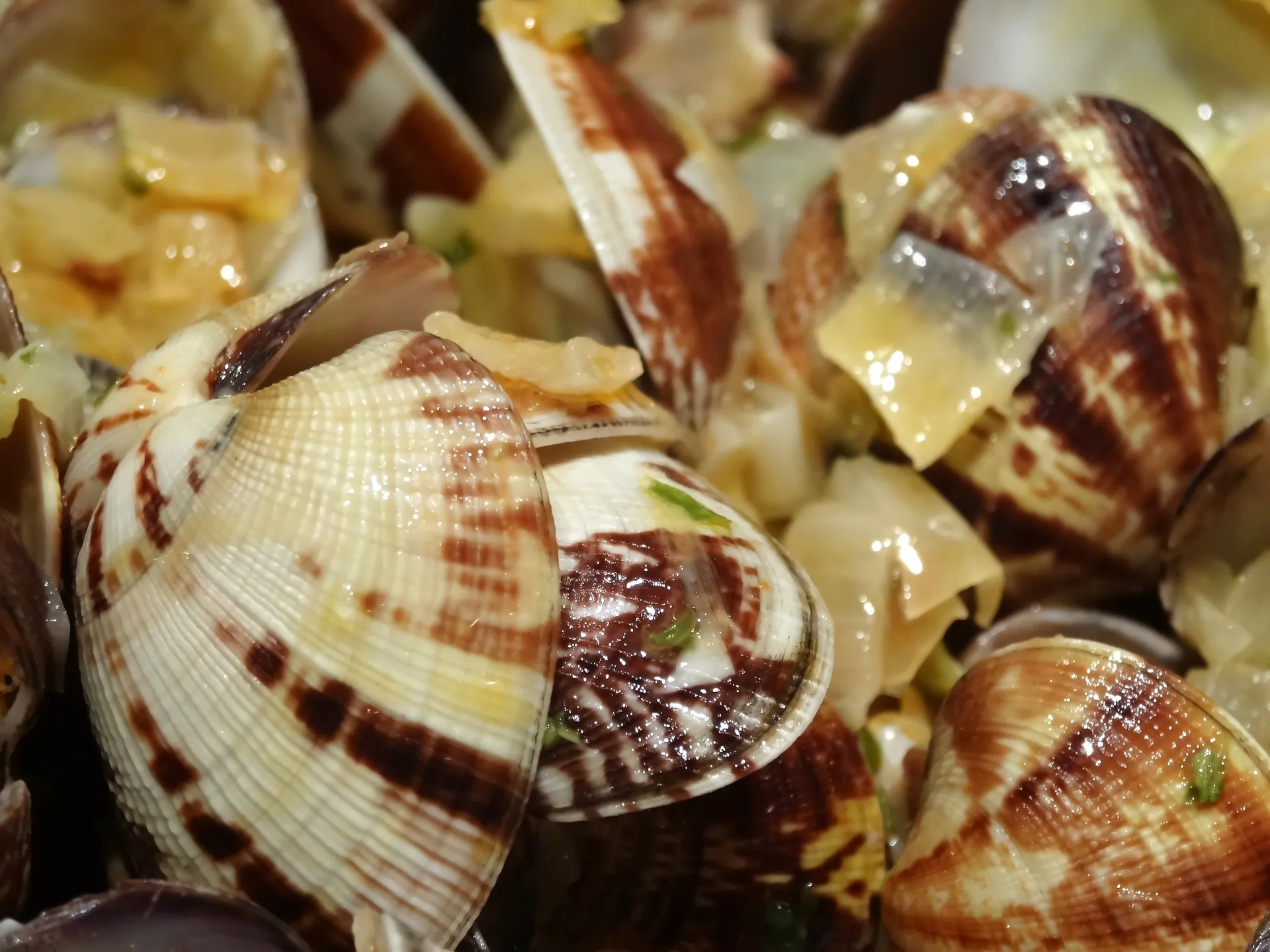 shell 73451 1920