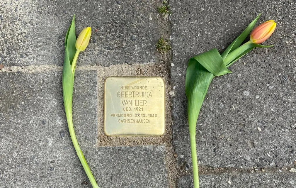 struikelsteentje truus van lier