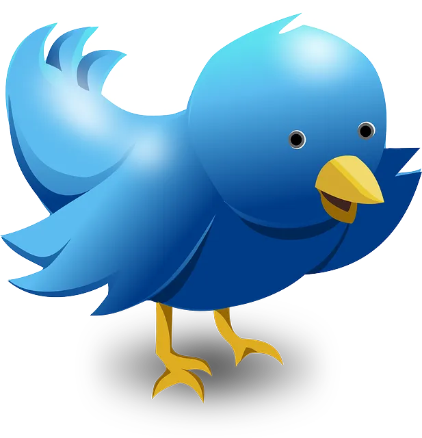 twitter 117595 640
