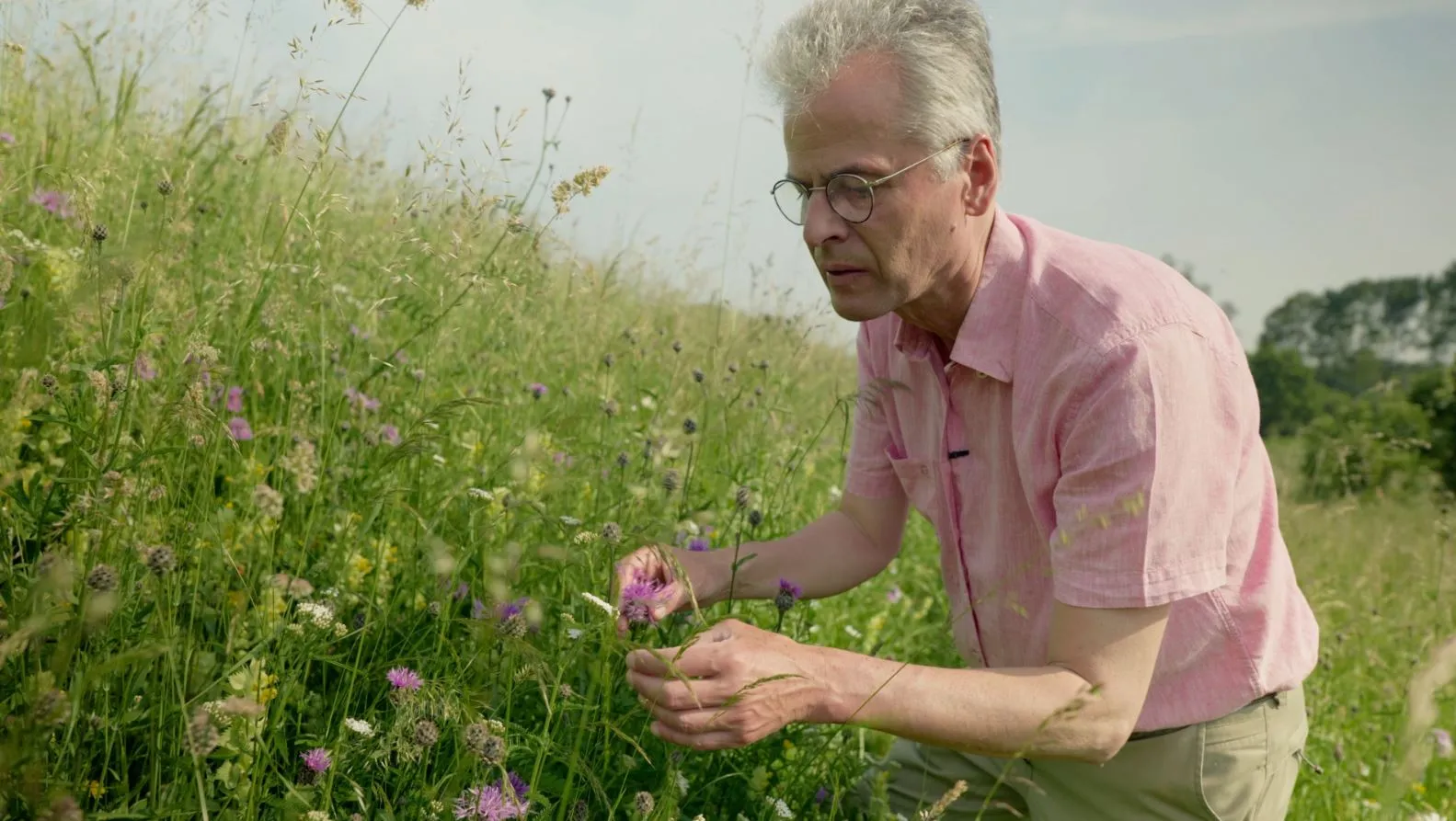 ul hans de kroon toegetreden tot de raad van toezicht van utrechts landschap