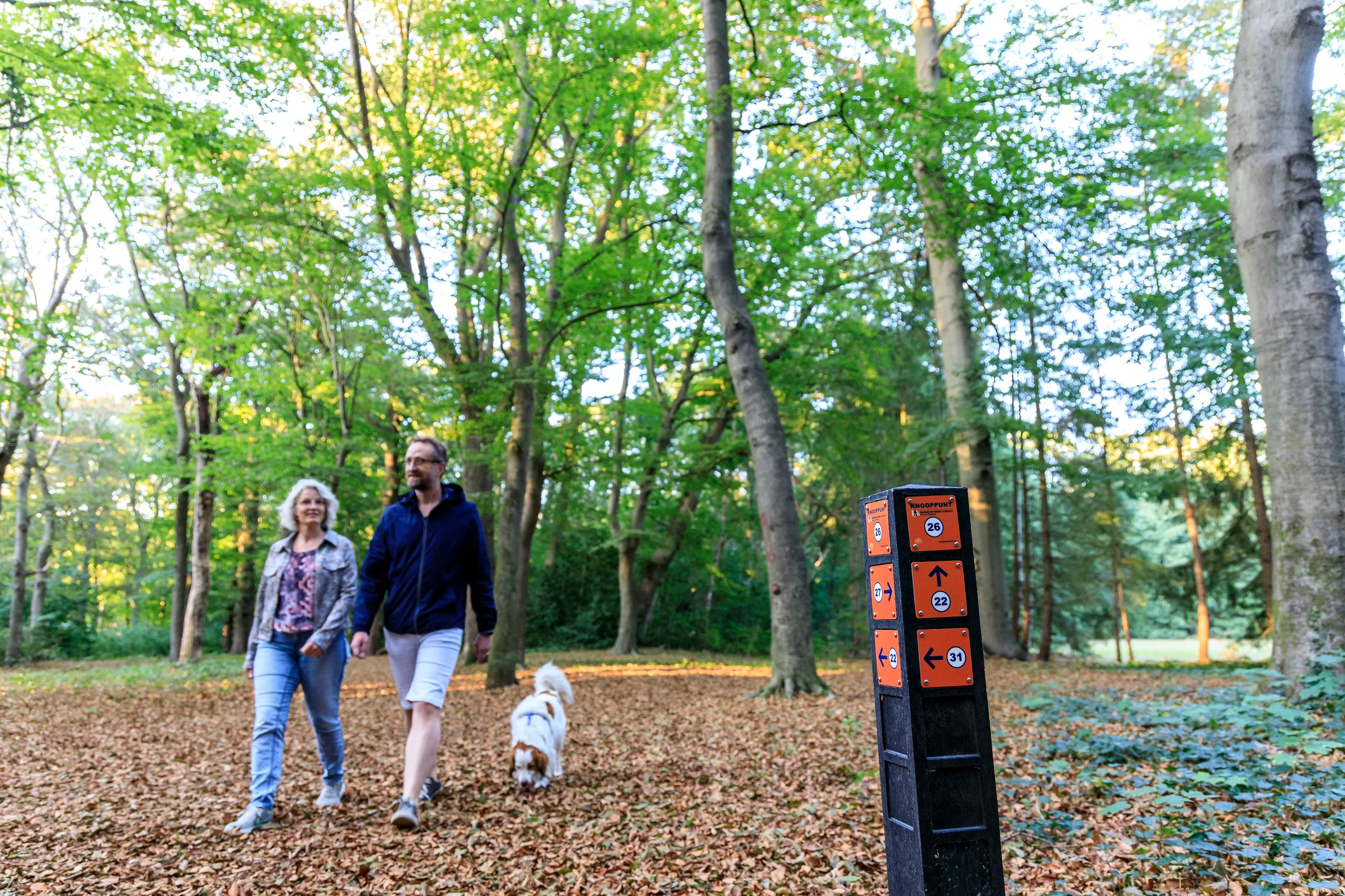 wandelnetwerk krommerijnstreek 3