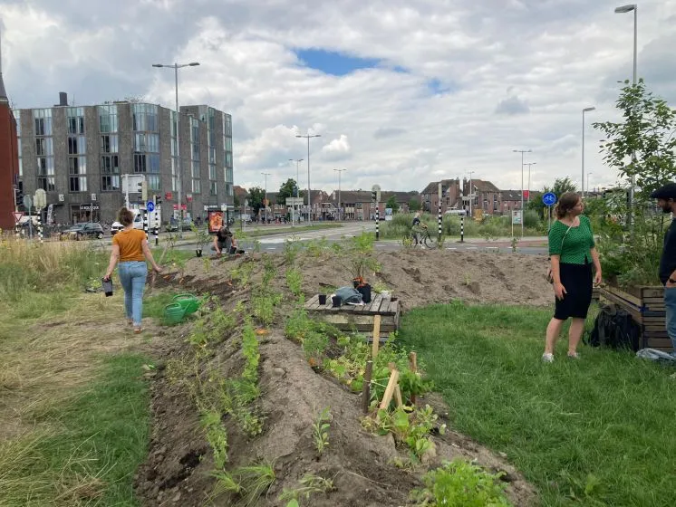 wilde bloemenweide westplein