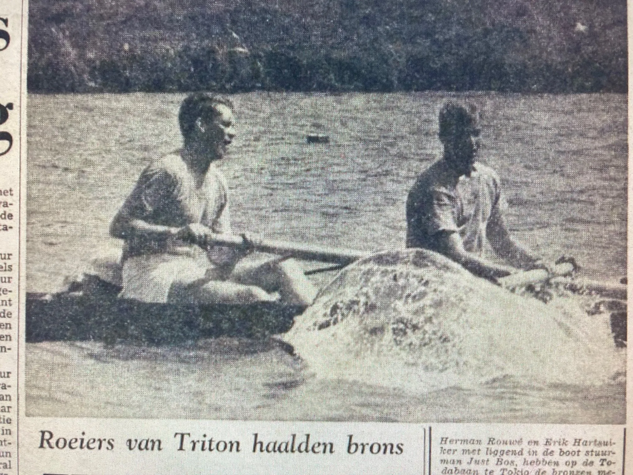 brons roeiers triton