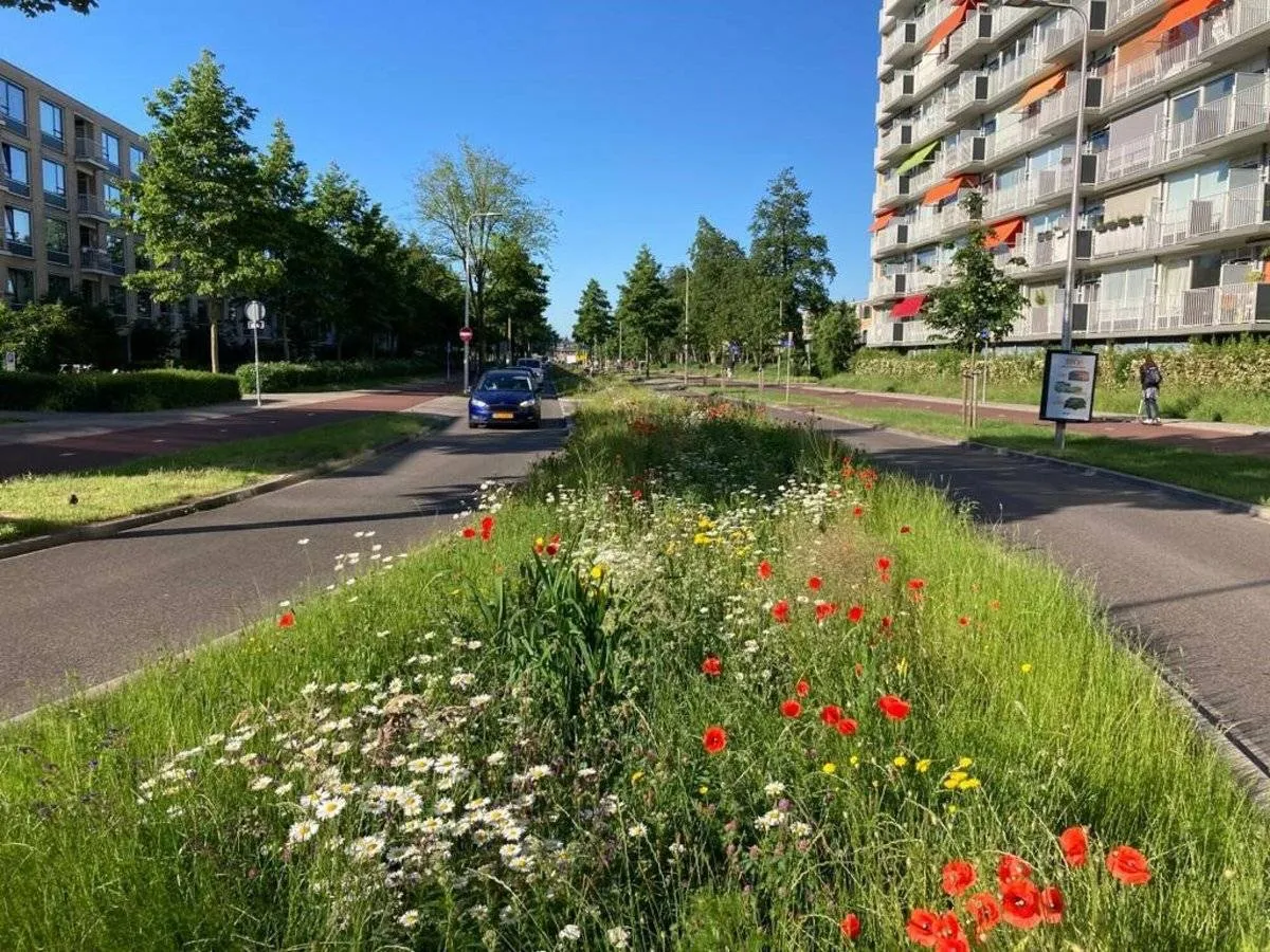 groene middenberm