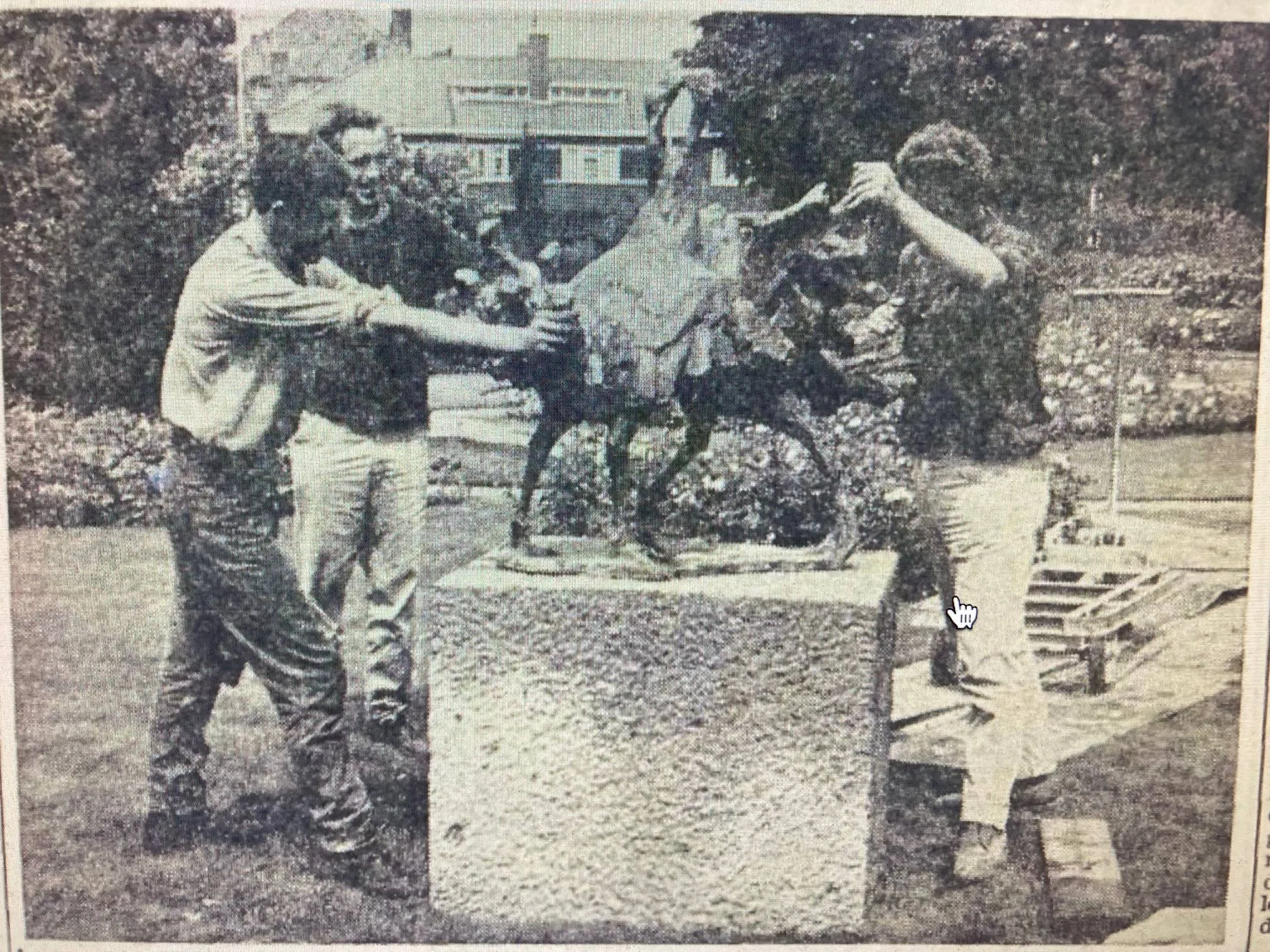 beeld vechtende kalkoenen
