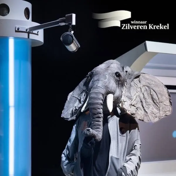 olifant bij de bushalte