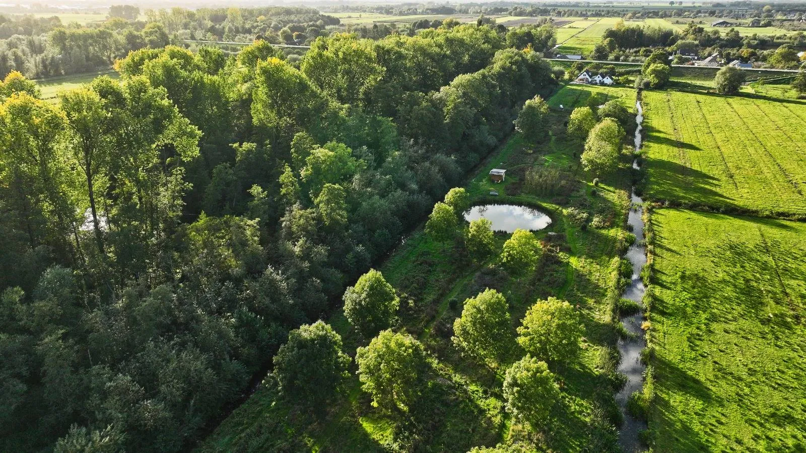 Voedselbos-de-Geeren