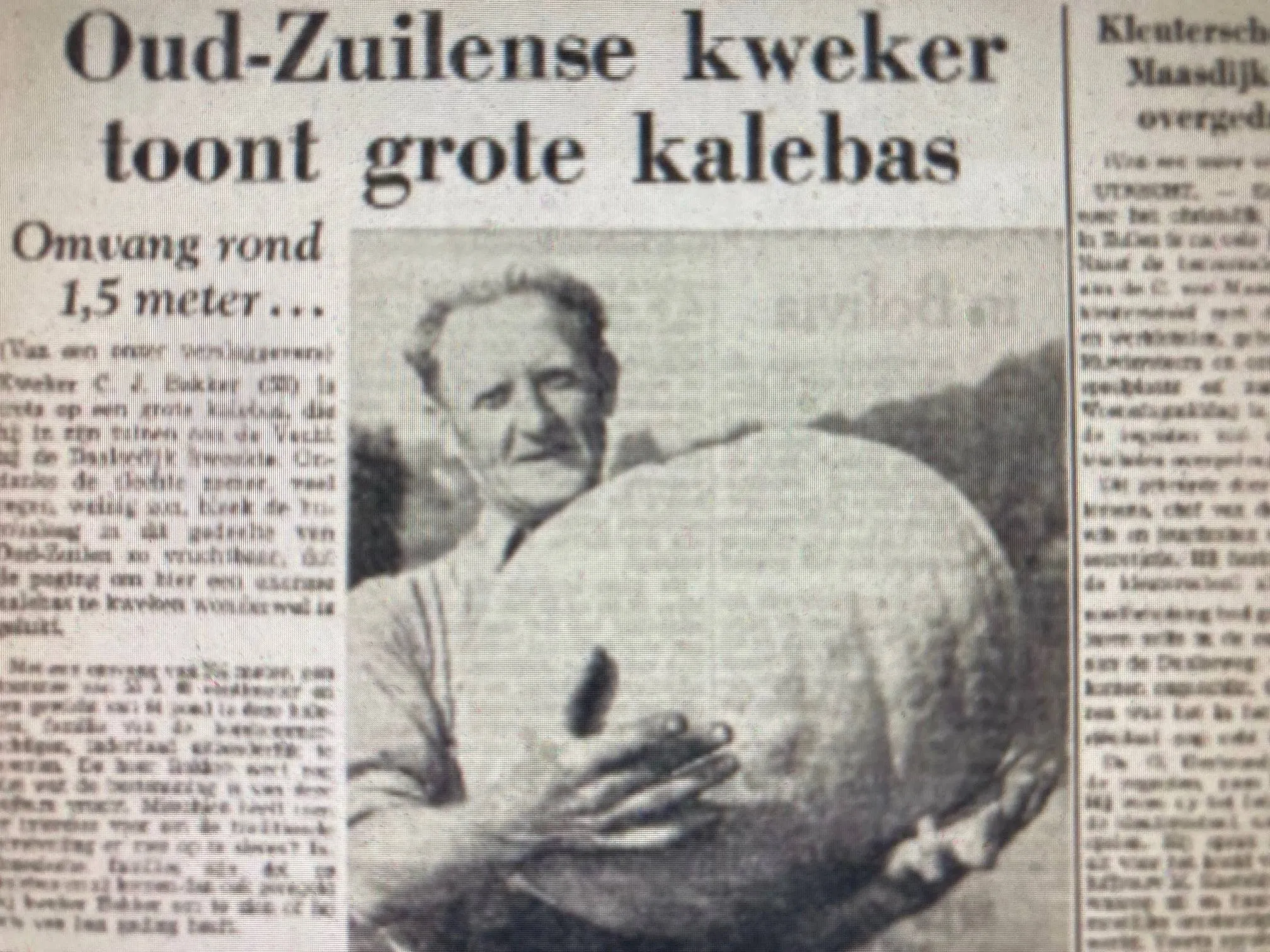 een grote kalebas