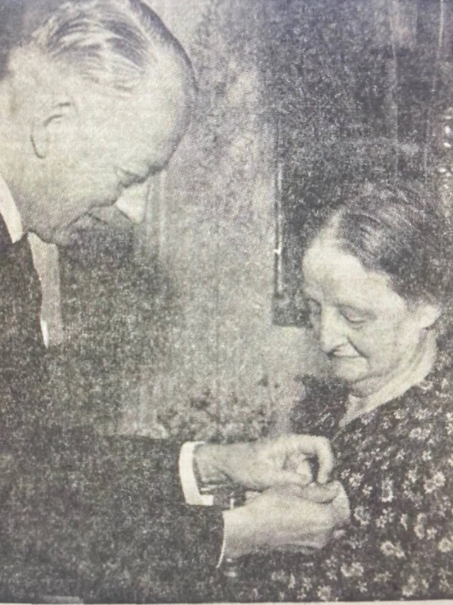 eremedaille voor Leentje