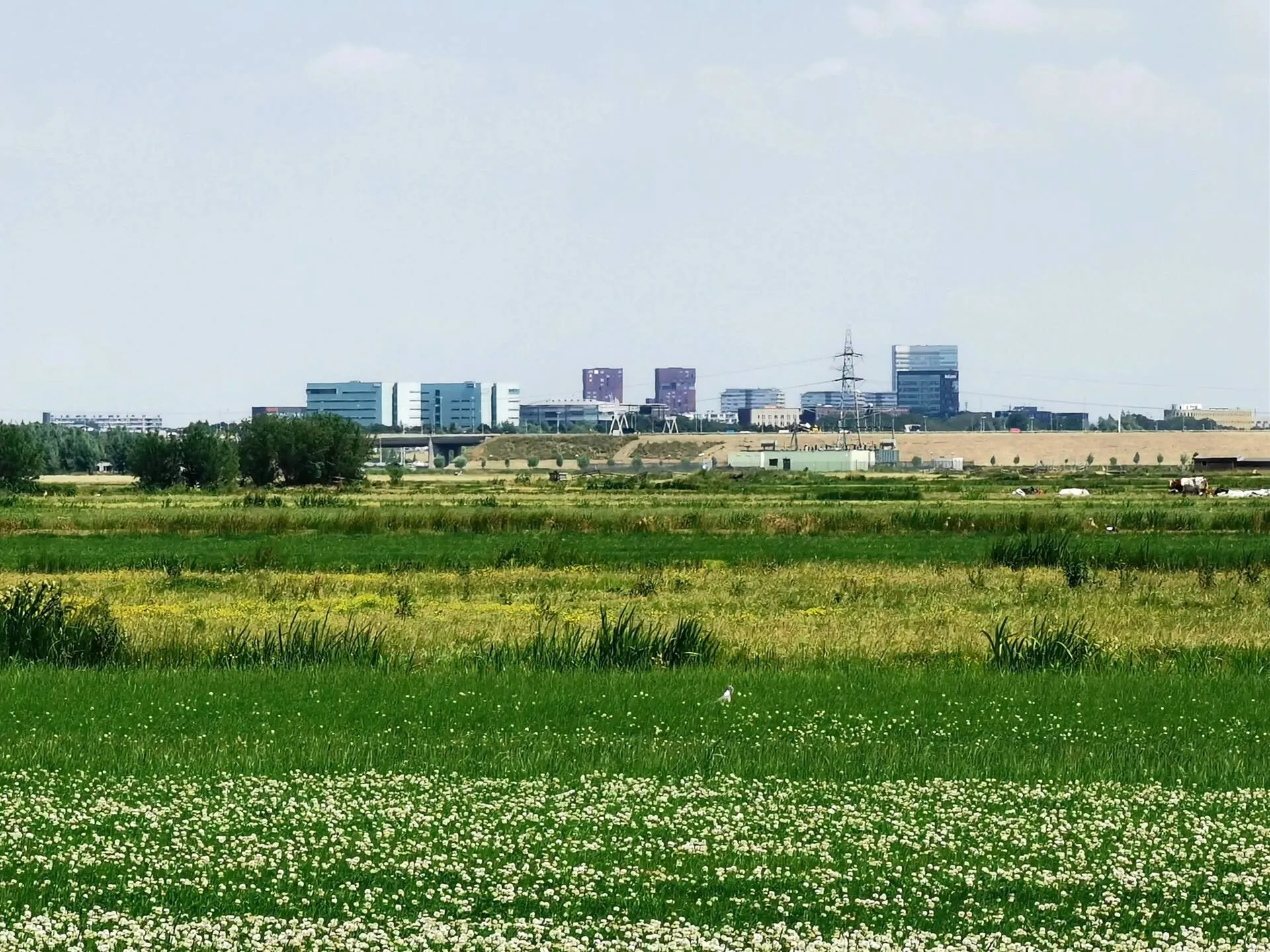 Ringkade Rijnenburg