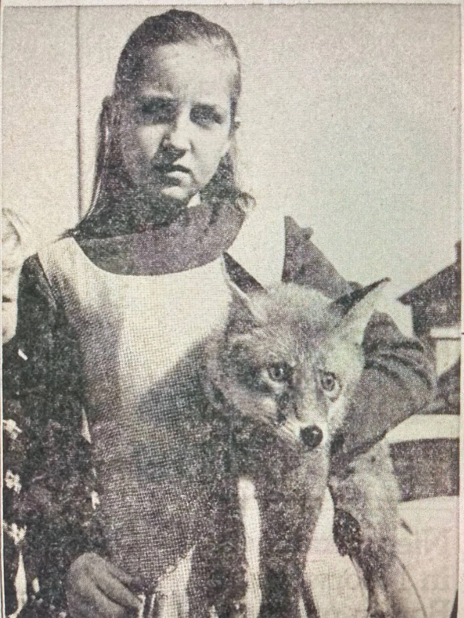 vosje Hanneke Galesloot
