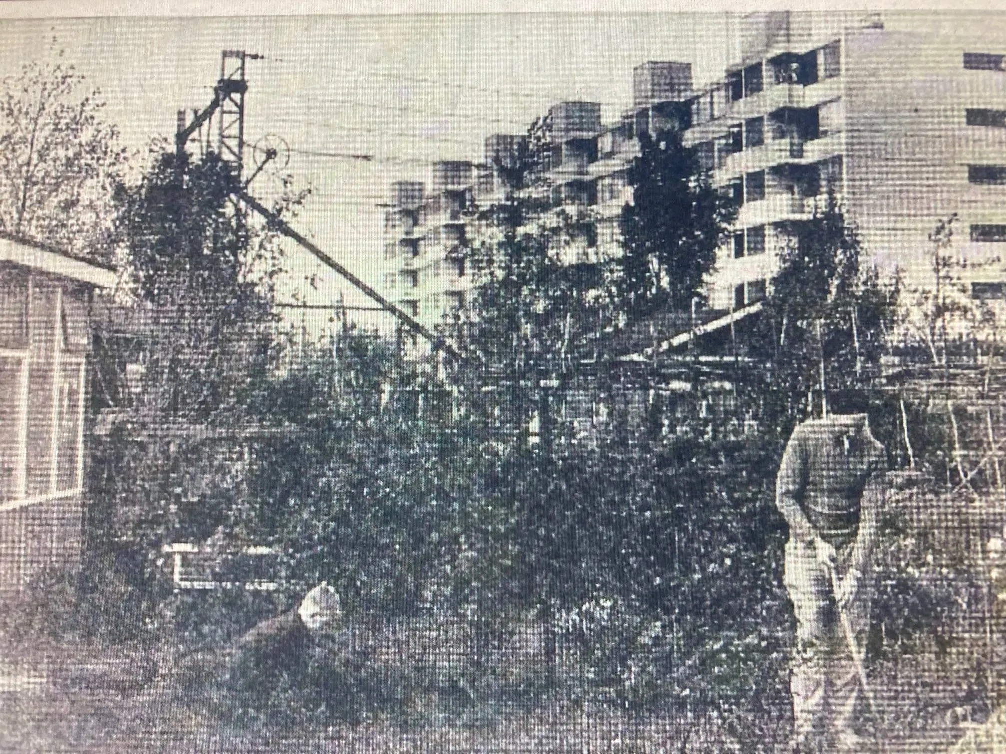volkstuin Tuindorp-oost