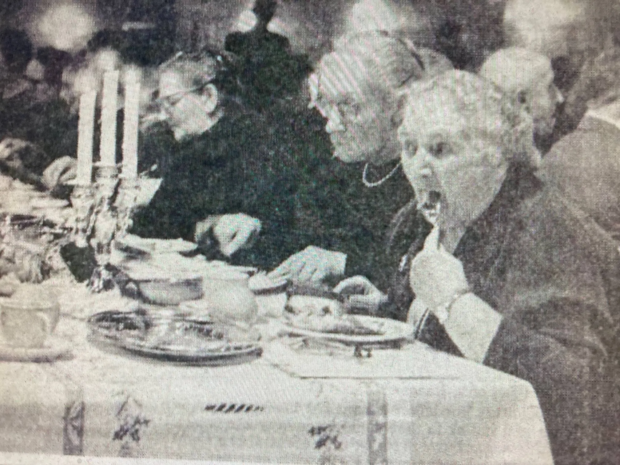 kerstfeest bejaarden Tivoli