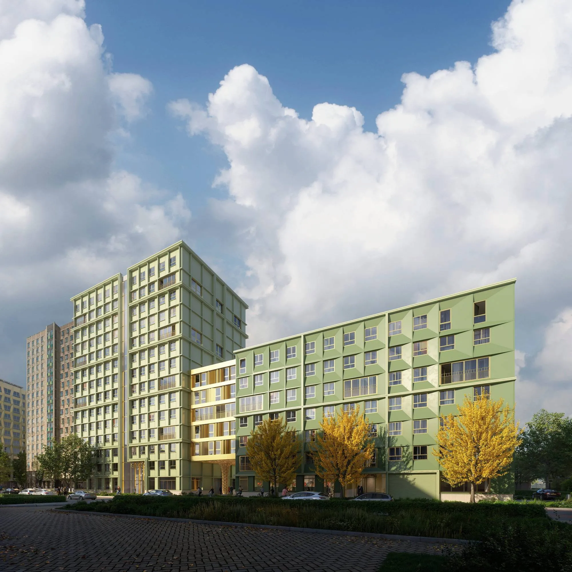 Kwekerij fase 4 Ginkgo