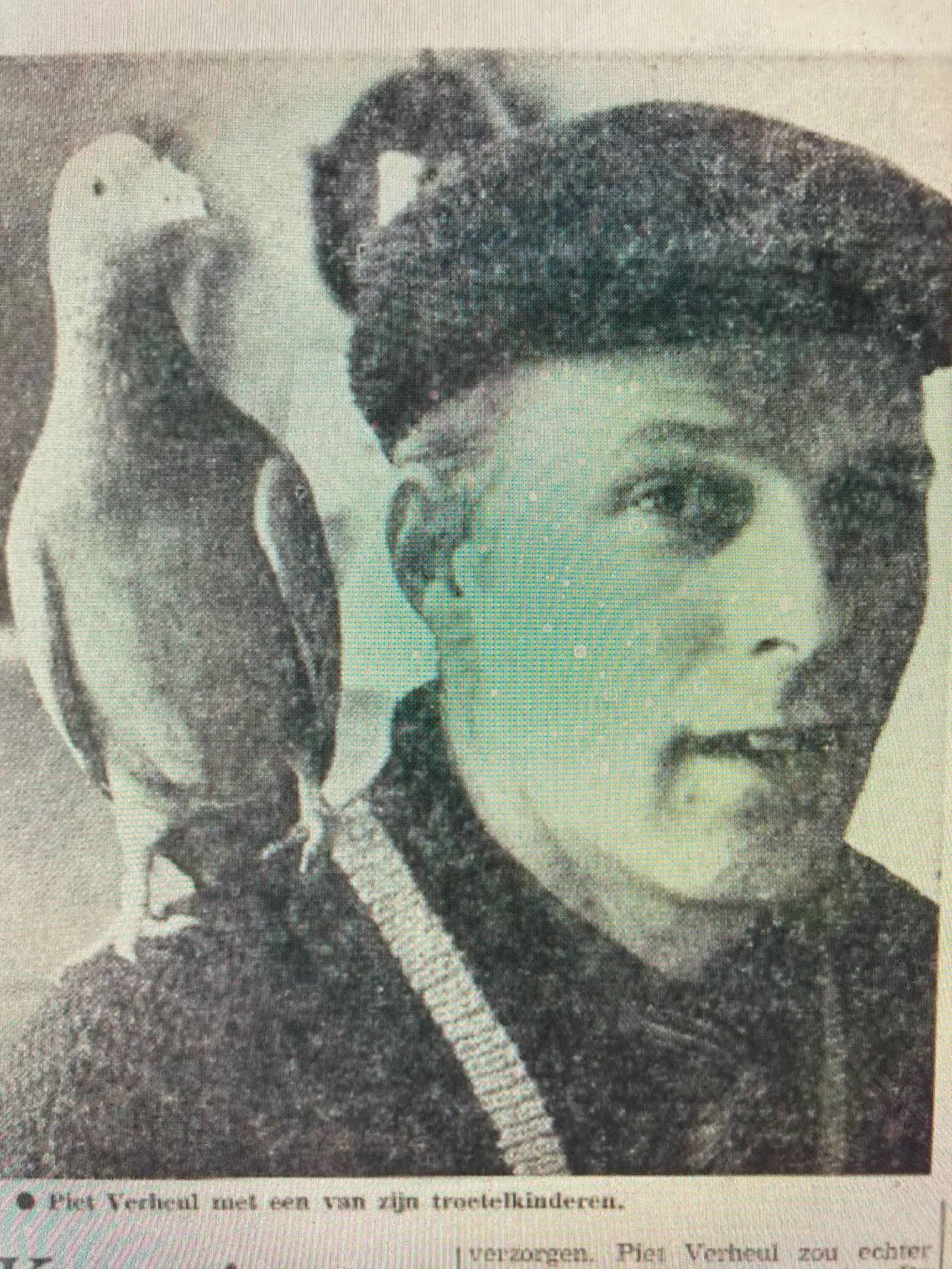 Piet Verheul duivensport