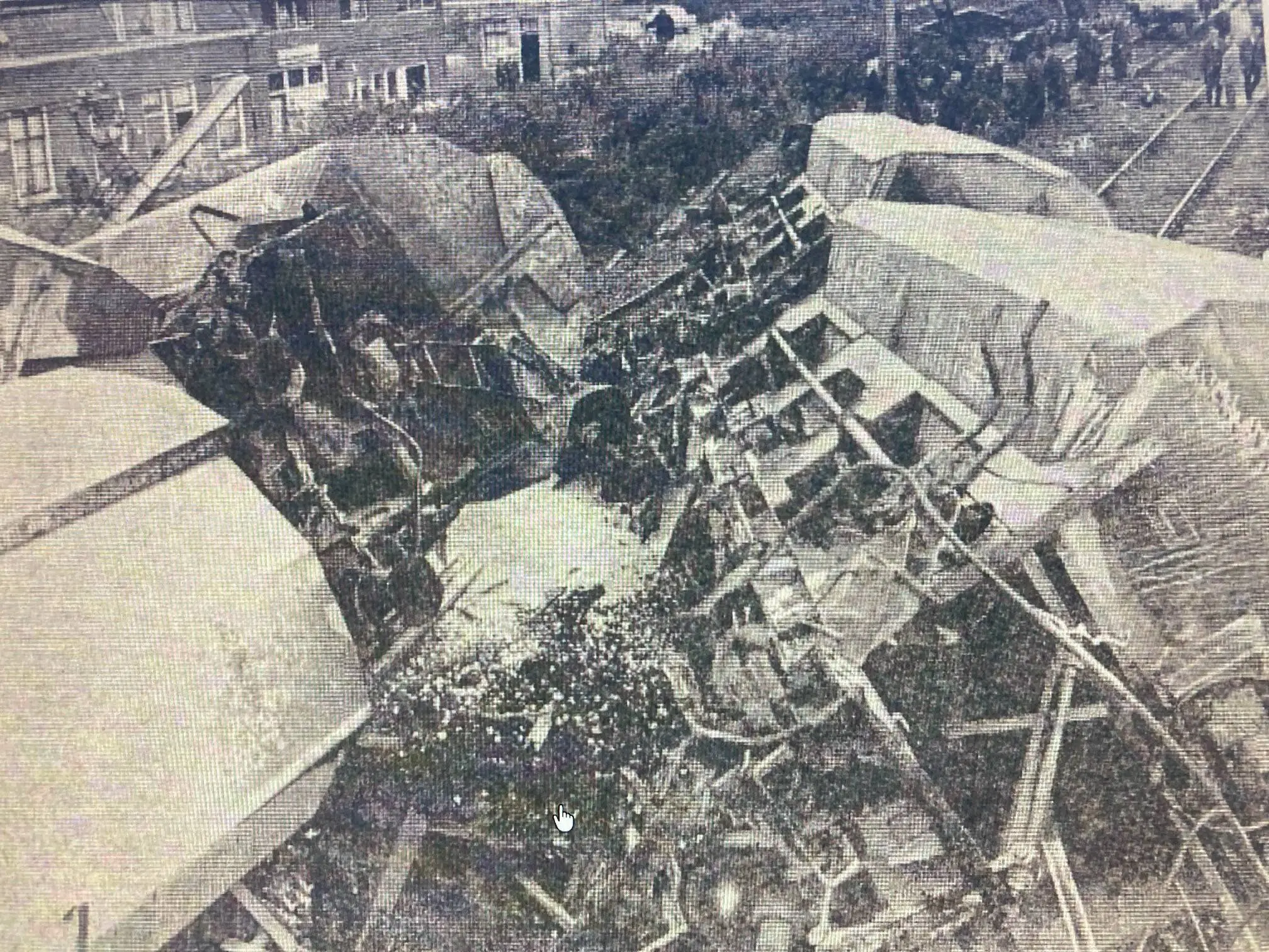 treinravage