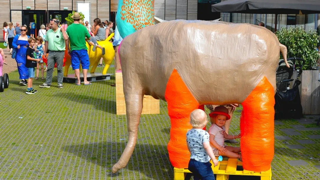 0904 olifant chantal de wolde