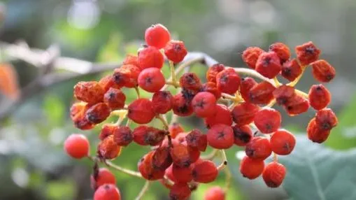 0a7125dd c6ab 408f 9f4c 64f4e3e2b104